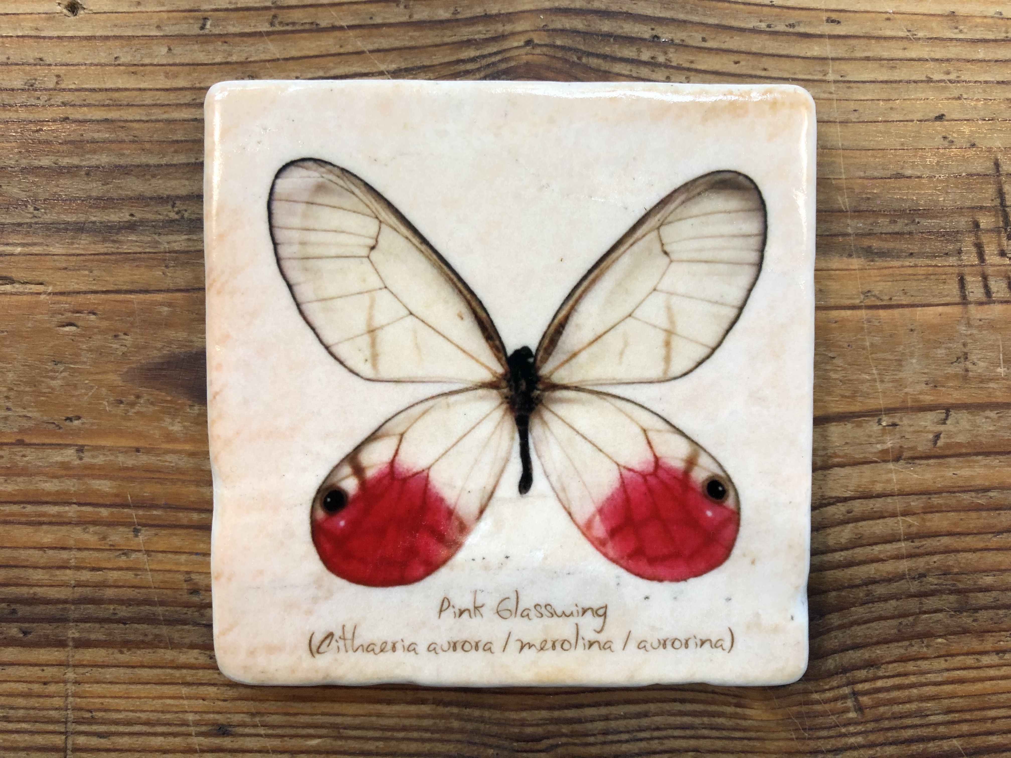 Henri Banks – Marmorfliese “Schmetterling” rot/weiss