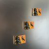 Papaya 6x4 Magnet