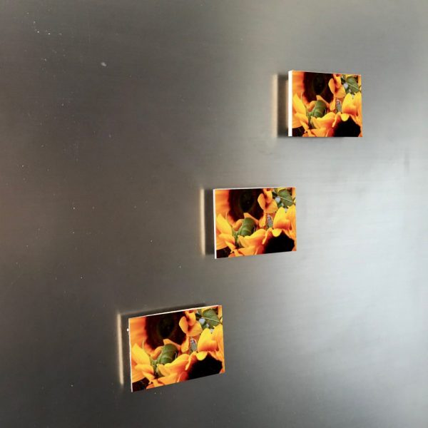 Sonnenblume-Gärtnerin 6x4 Magnet