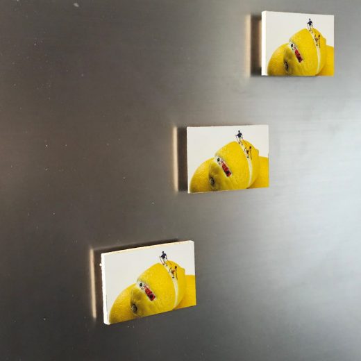 Zitronen 6x4 Magnet