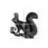 boubouki - Fliesenaufkleber - Eichhörnchen - Cip n' dale - 4er Set2