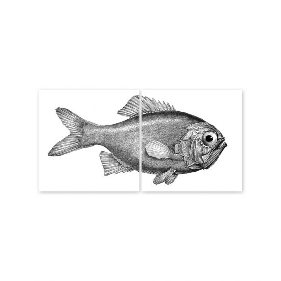 boubouki - Fliesenaufkleber "Fisch Fred" 2er Set - 15cmx15cm