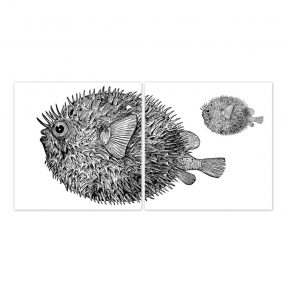 boubouki - Fliesenaufkleber "Kugelfisch Googly" 2er Set - 15cmx15cm