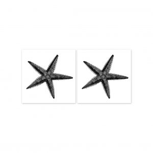boubouki - Fliesenaufkleber - "Seestern" 2er Set - 15cmx15cm