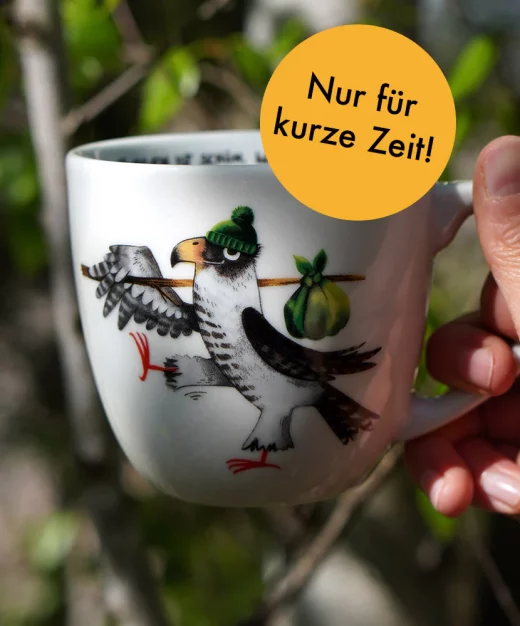 wanderfalke-2_3384722f-b800-408d-8294-341d9edca9c4