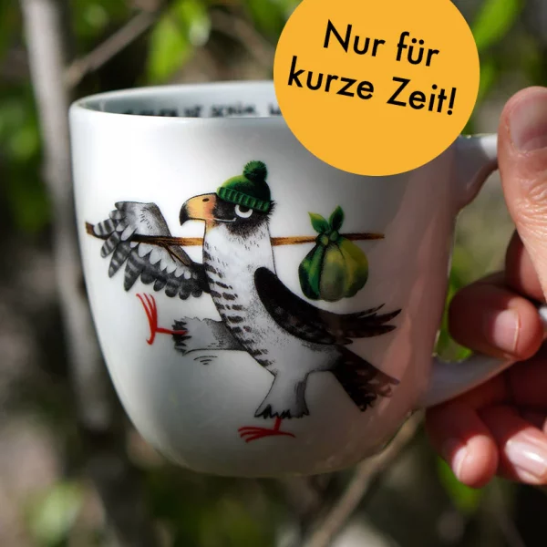 wanderfalke-2_3384722f-b800-408d-8294-341d9edca9c4